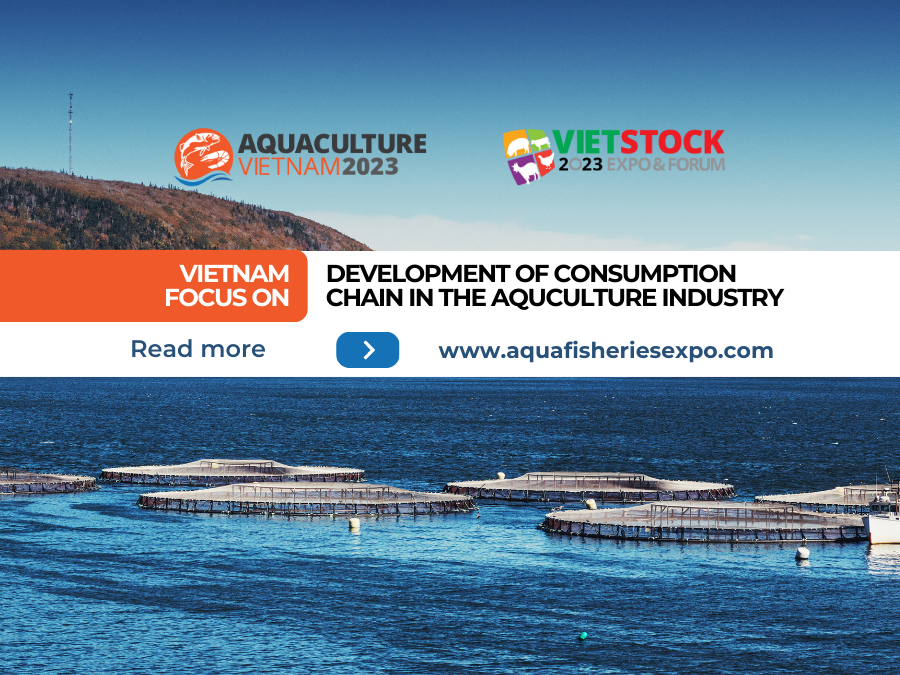 VIETNAM FOCUS ON THE DEVELOPMENT OF CONSUMPTION CHAIN IN THE AQUCULTURE INDUSTRY