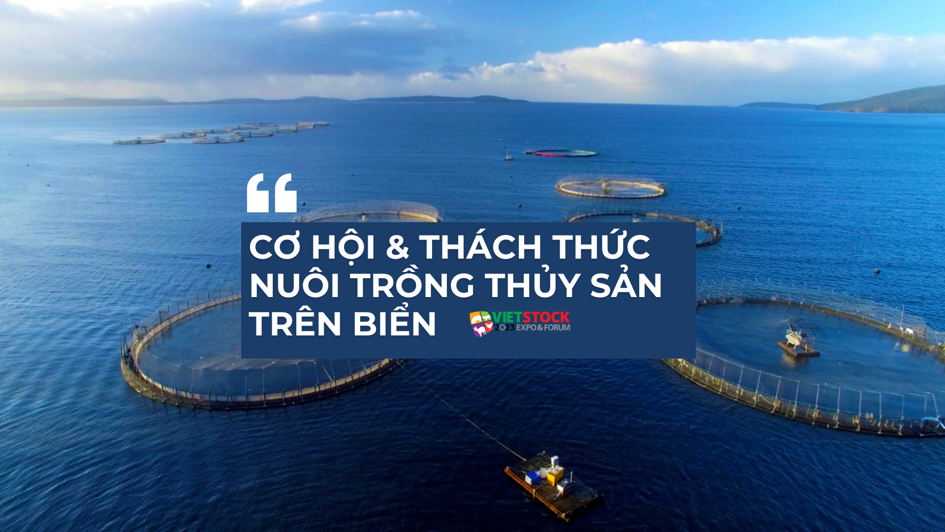 Nuôi trồng thủy sản trên biển: Cơ hội và thách thức cho ngành thủy sản Việt Nam