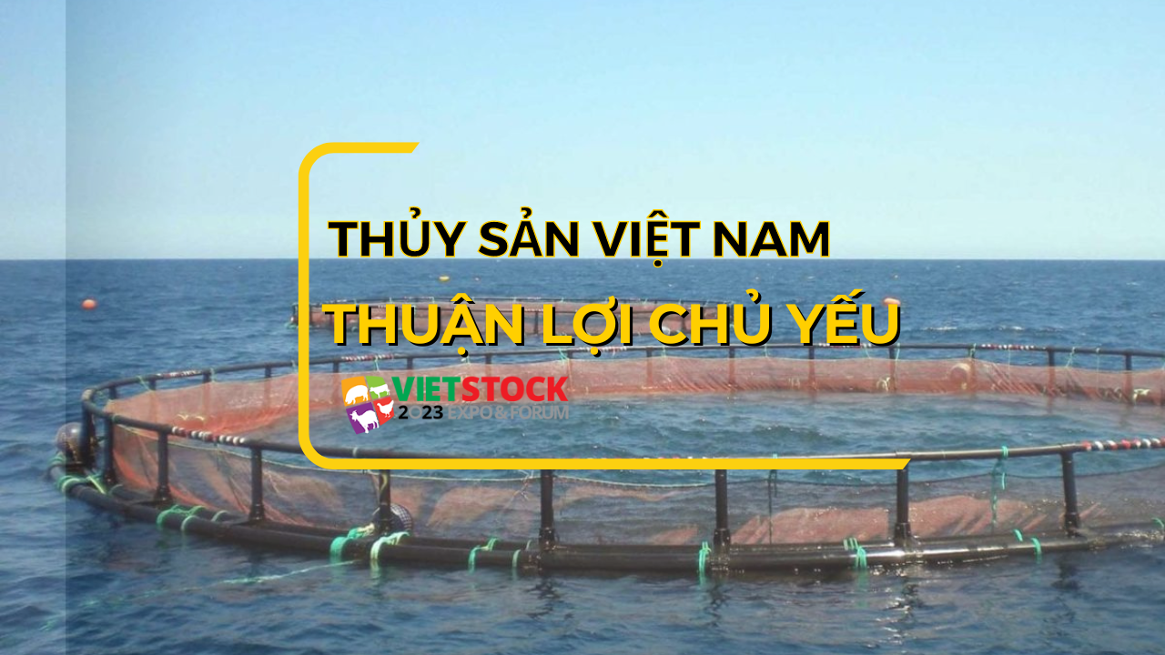 Thủy sản Việt Nam: Những thuận lợi chủ yếu để phát triển ngành kinh tế mũi nhọn