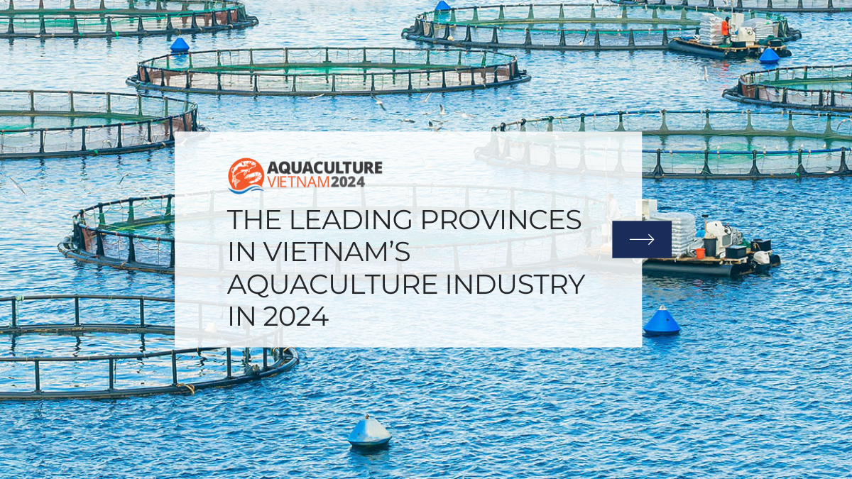 THE LEADING PROVINCES IN VIETNAM’S AQUACULTURE INDUSTRY IN 2024