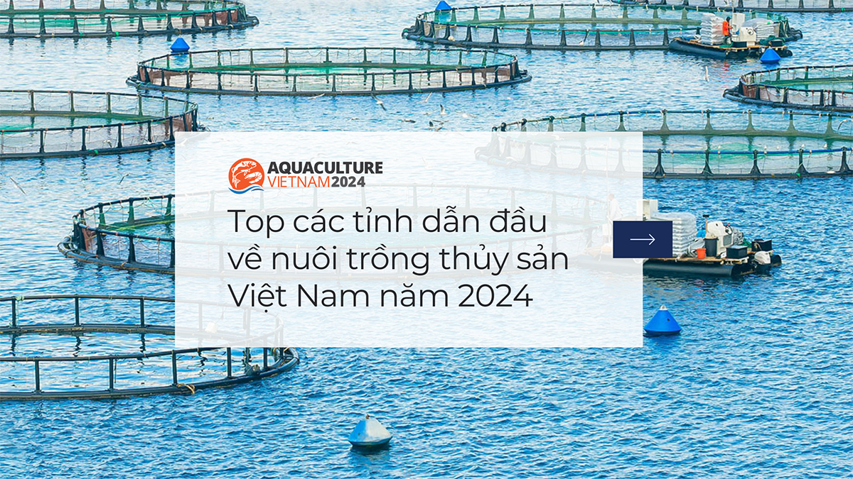 Top các tỉnh dẫn đầu về nuôi trồng thủy sản Việt Nam năm 2024