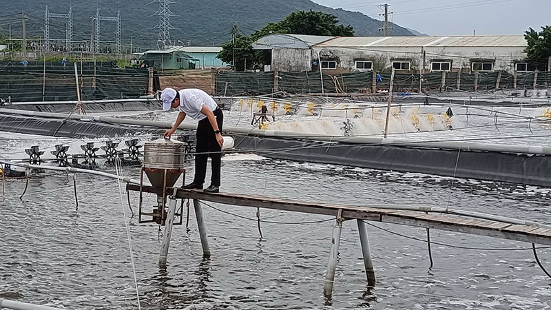 cong nghe nuoi trong thuy san 3