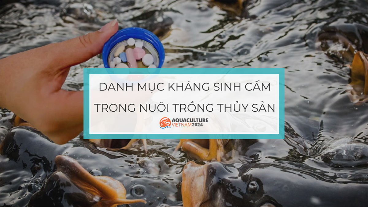 danh muc cam trong nuoi trong thuy san 1