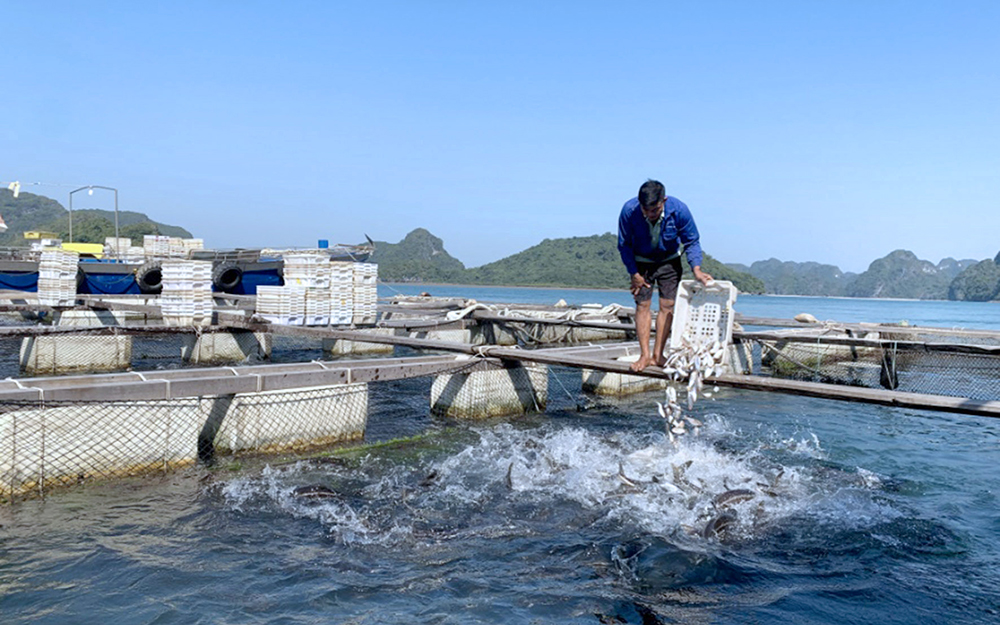 trien lam nuoi trong thuy san 4