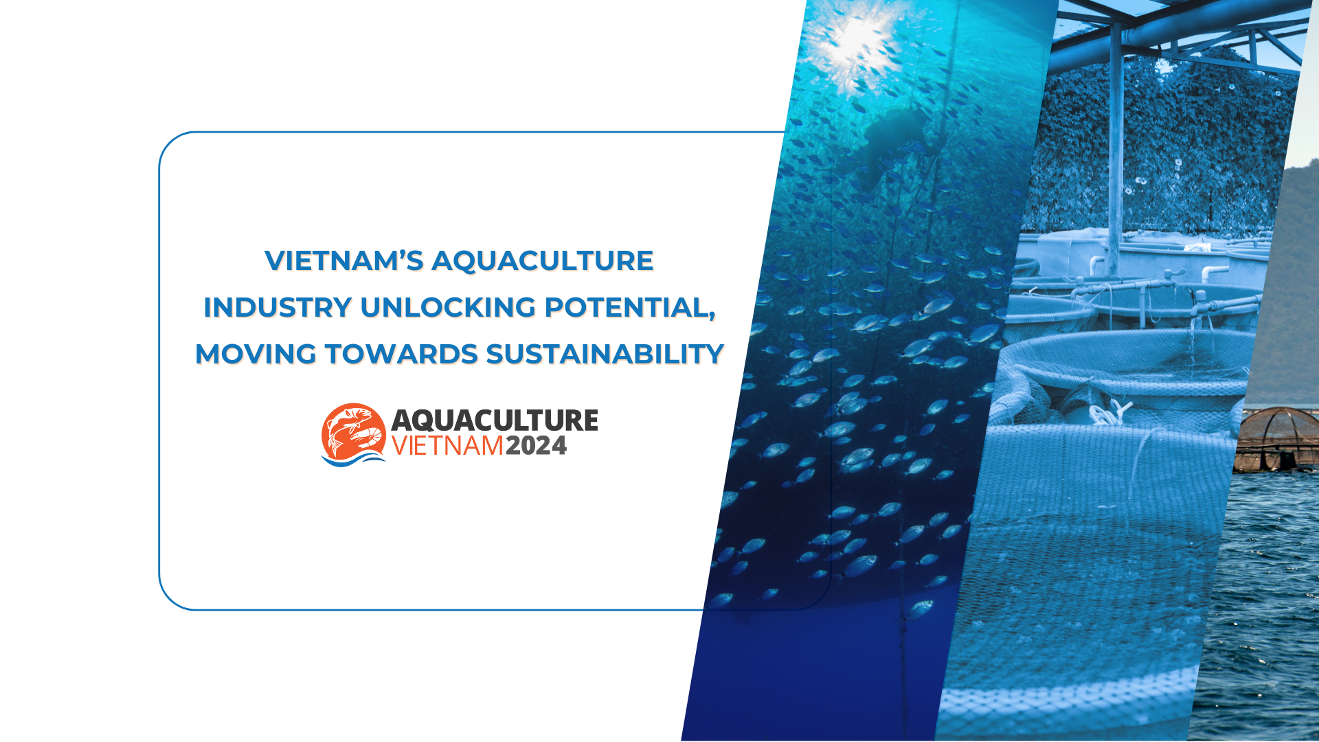 Achievements, potential, and sustainable development of Vietnam's aquaculture industry