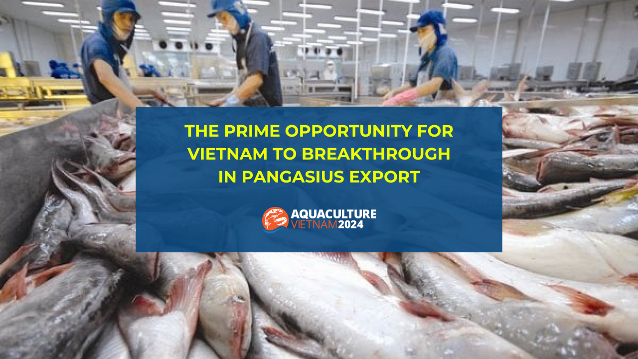 THE PRIME OPPORTUNITY FOR VIETNAM TO BREAKTHROUGH IN PANGASIUS EXPORT