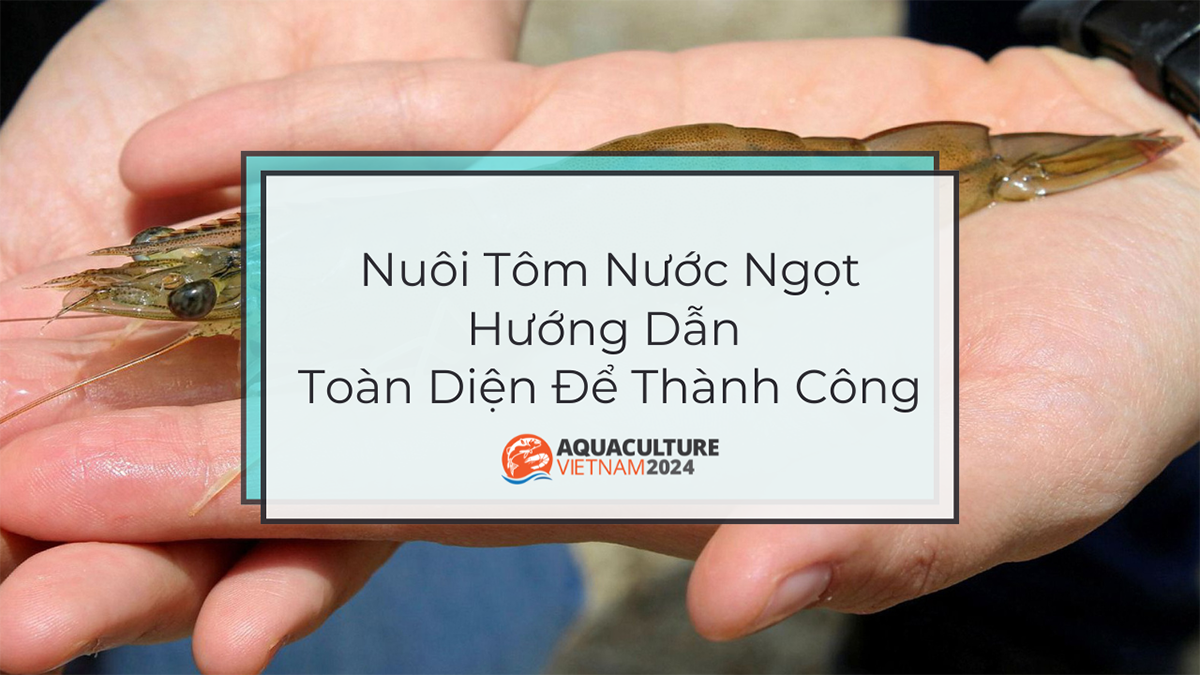 Nuôi Tôm Nước Ngọt: Hướng Dẫn Toàn Diện Để Thành Công