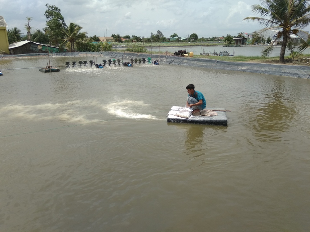 su dung voi trong nuoi trong thuy san 2