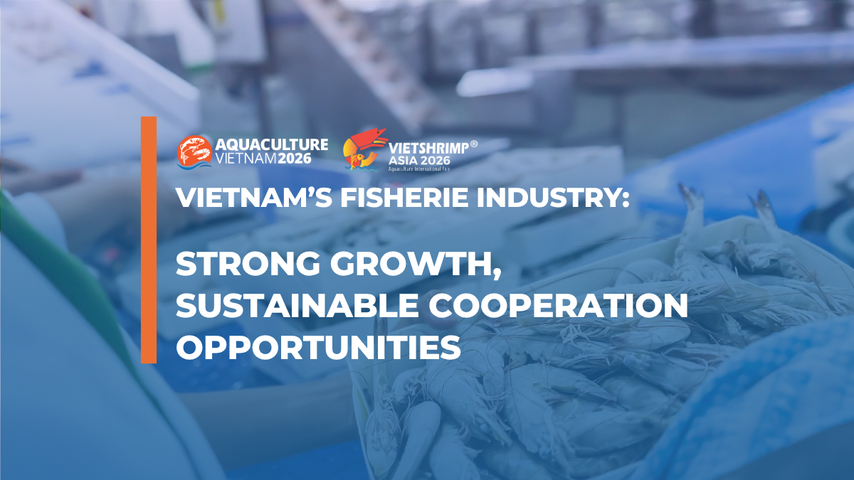 Vietnam’s Fisherie Industry: Strong Growth, Sustainable Cooperation Opportunities