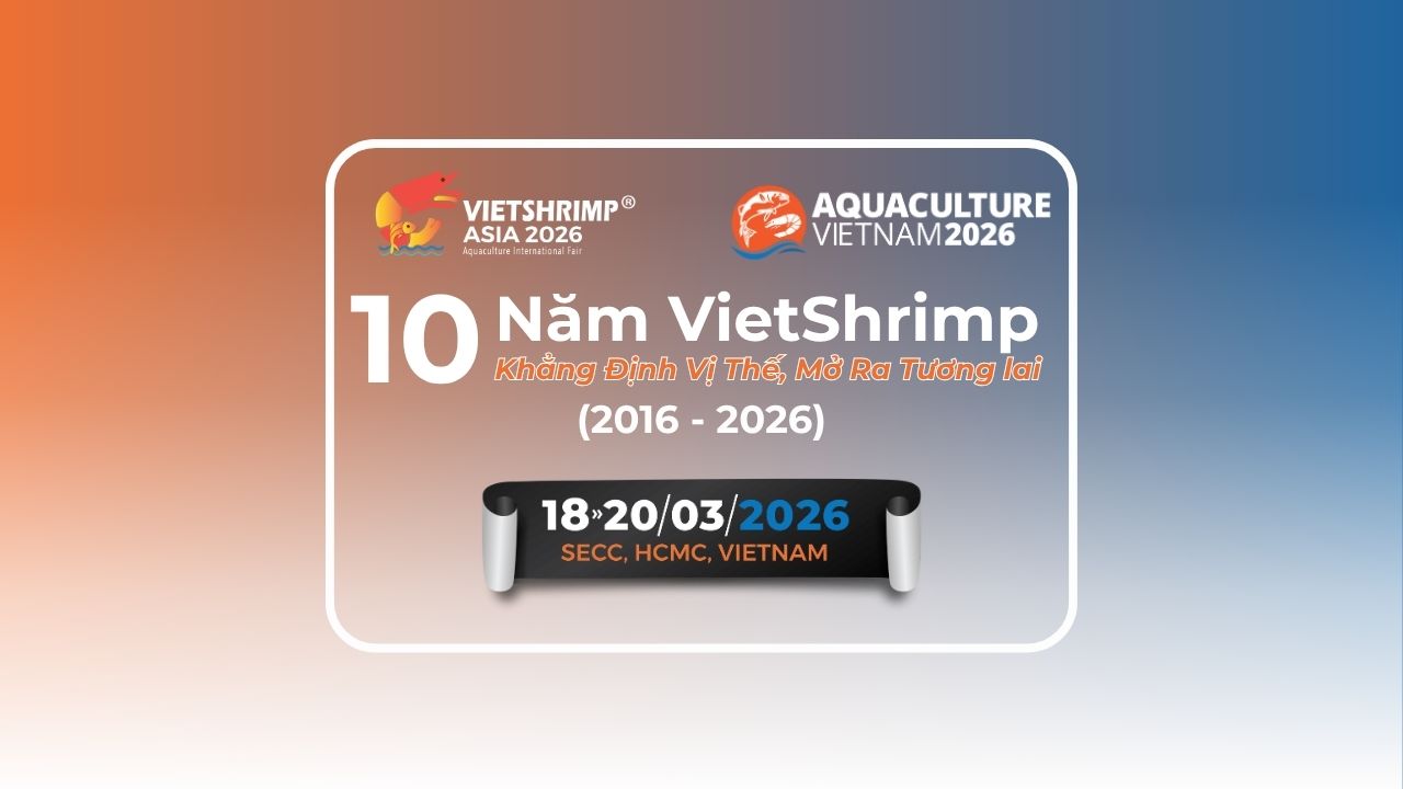 VietShrimp Asia: Hành Trình 10 Năm – Bước Ngoặt Mới cùng Aquaculture Vietnam