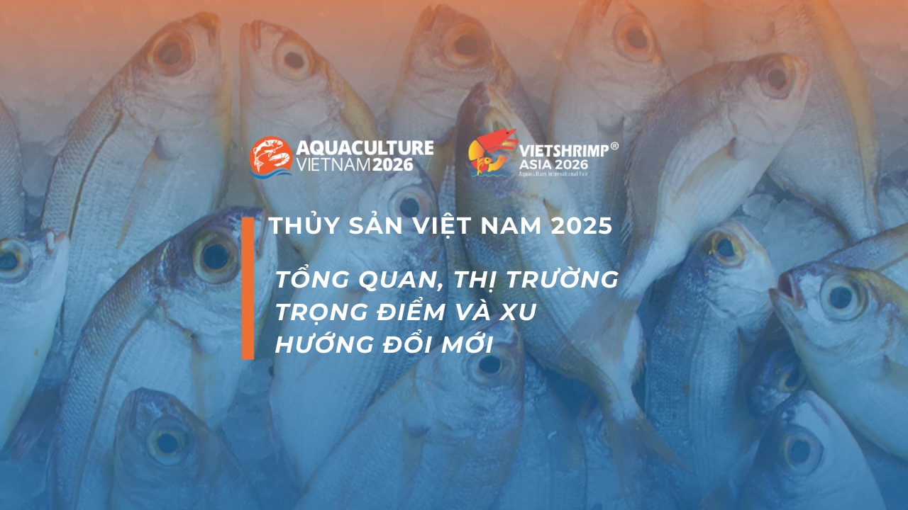 THỦY SẢN VIỆT NAM 2025: TỔNG QUAN, THỊ TRƯỜNG TRỌNG ĐIỂM VÀ XU HƯỚNG ĐỔI MỚI
