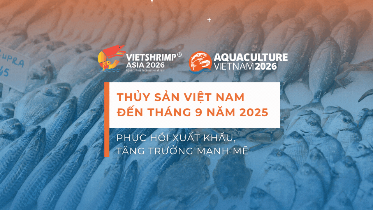 THỦY SẢN VIỆT NAM ĐẾN THÁNG 9 NĂM 2025: PHỤC HỒI XUẤT KHẨU, TĂNG TRƯỞNG MẠNH MẼ 