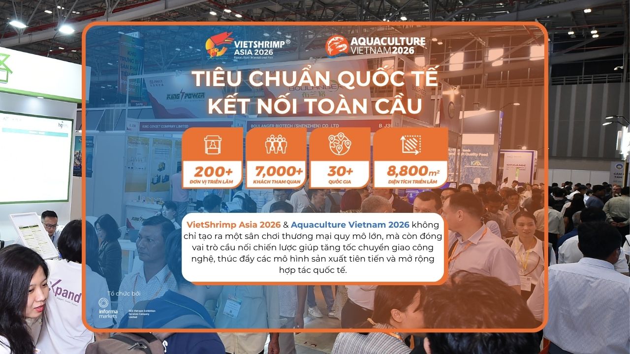 Kỷ Nguyên Mới Cho Triển Lãm Thủy Sản Việt Nam: Tiêu Chuẩn Quốc Tế, Kết Nối Toàn Cầu